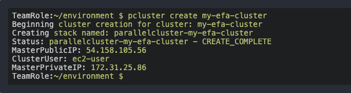 pcluster_create_output